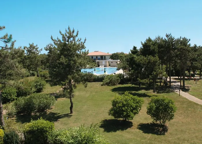 Summer Time Family Бібіоне