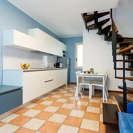 Summer Time Family ביביונה