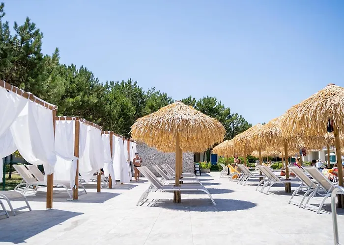 Summer Time Family * Μπιμπιόνε