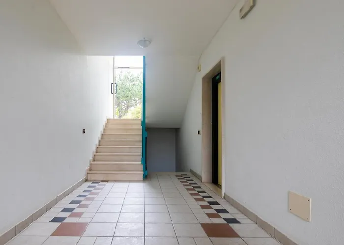 Summer Time Family *